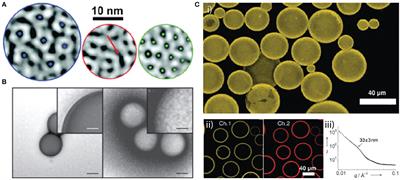 Particle-Stabilized Fluid-Fluid Interfaces: The Impact of Core Composition on Interfacial Structure